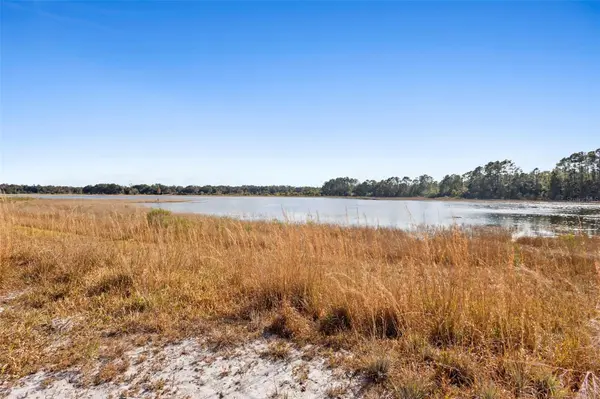 TBD SE 256TH AVE, Umatilla, FL 32784