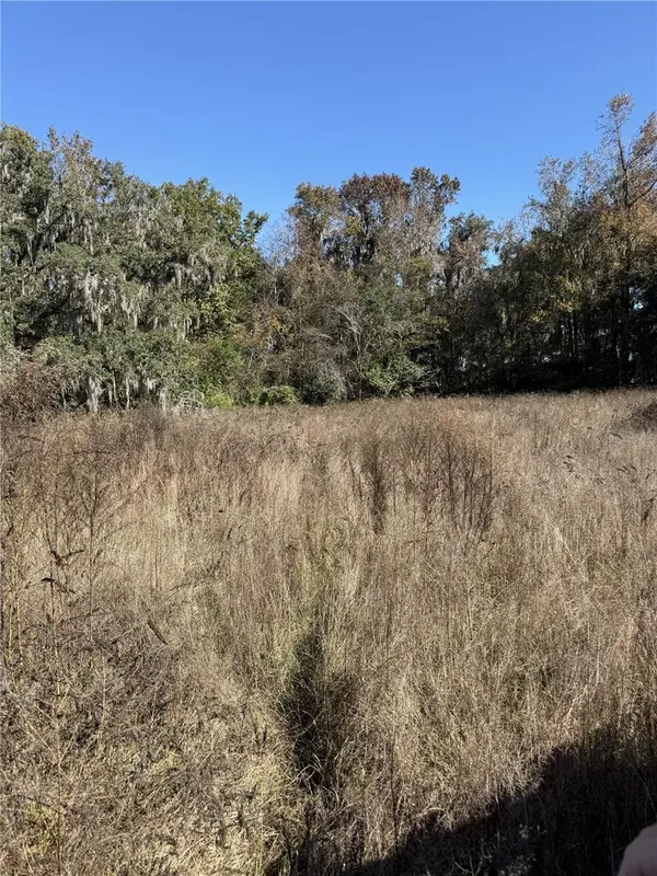 NW 110TH AVE, Reddick, FL 32686