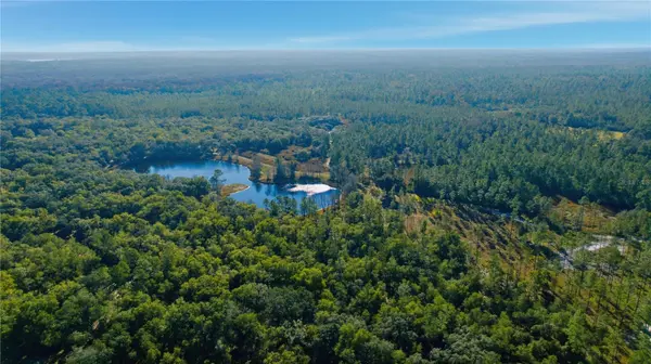 TBD (Lot 3) NE 115TH LANE RD, Fort Mc Coy, FL 32134