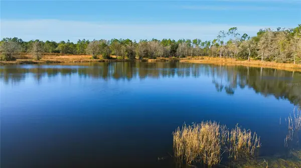 TBD (Lot 3) NE 115TH LANE RD, Fort Mc Coy, FL 32134