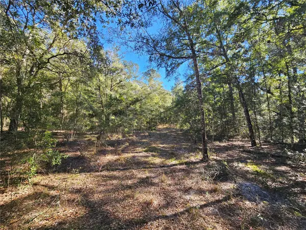0000 NE 175TH AVE, Williston, FL 32696