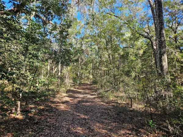 0000 NE 175TH AVE, Williston, FL 32696