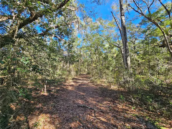 0000 NE 175TH AVE, Williston, FL 32696