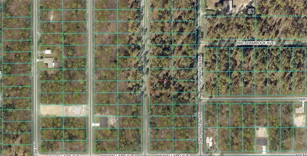 00 NW NARCISSUS RD, Dunnellon, FL 34431