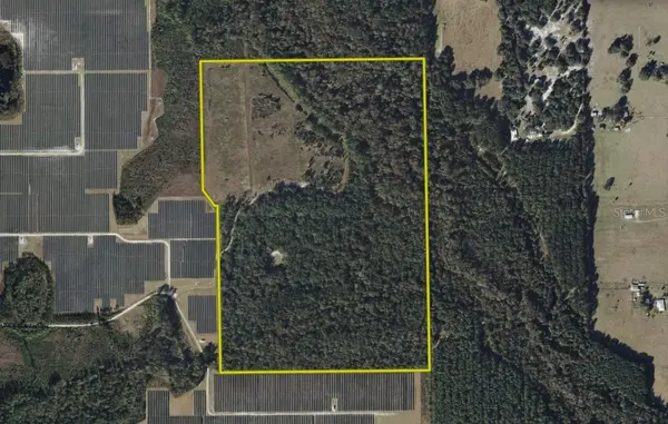 81 CLOUDS AVE, Interlachen, FL 32148