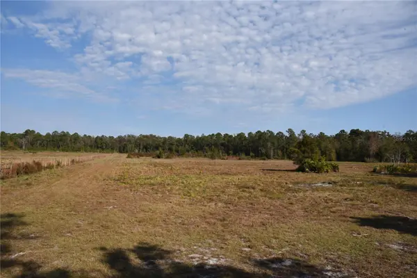 81 CLOUDS AVE, Interlachen, FL 32148