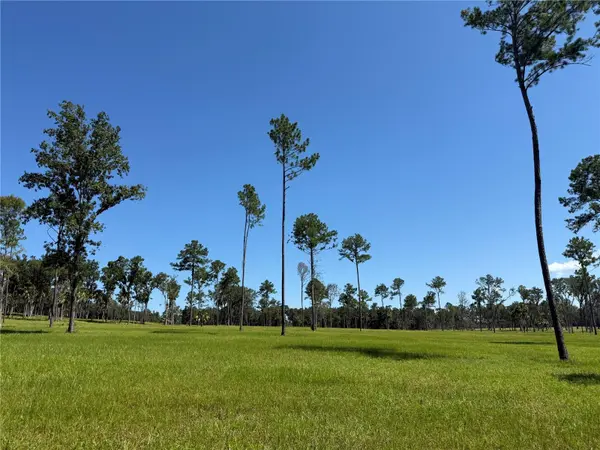 DO #6 (24ac) NW 193RD ST, Micanopy, FL 32667