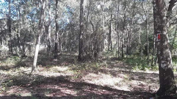 SW 202 AVE, Dunnellon, FL 34431