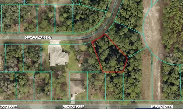 Lot 26 GUAVA PASS DR, Ocklawaha, FL 32179