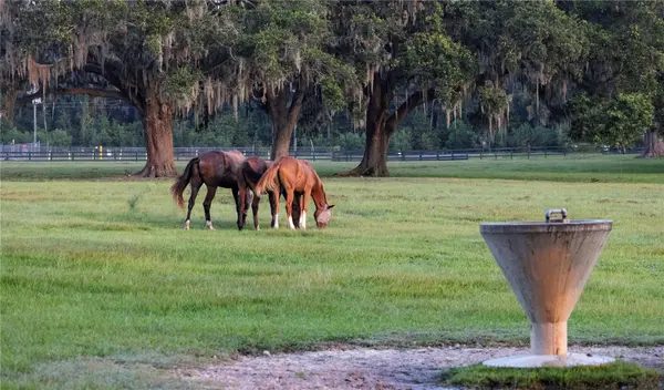 12870 W HIGHWAY 40, Ocala, FL 34481