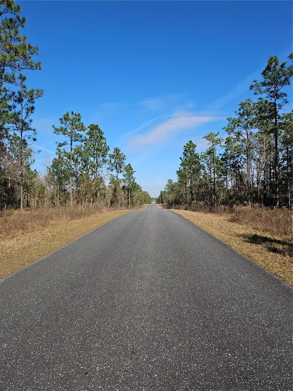 TBD SE 136TH TER, Dunnellon, FL 34431