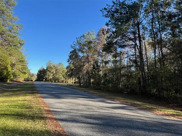 TBD NW 148 LN, Williston, FL 32696