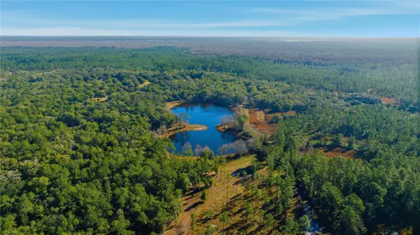TBD (Lot 6) NE 115TH LANE RD, Fort Mc Coy, FL 32134