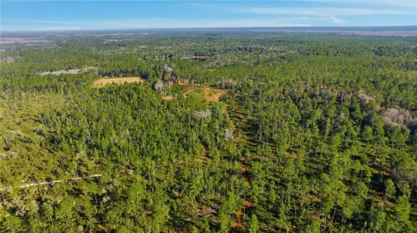 TBD (Lot 6) NE 115TH LANE RD, Fort Mc Coy, FL 32134