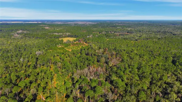 TBD (Lot 6) NE 115TH LANE RD, Fort Mc Coy, FL 32134