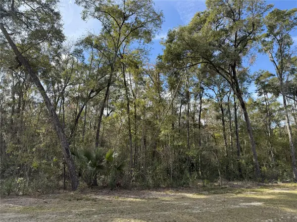 Irvine Acres #3 (10ac) W HWY 318, Reddick, FL 32686
