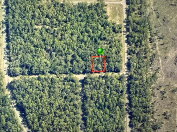 1409 E FERGASON LN, Dunnellon, FL 34434