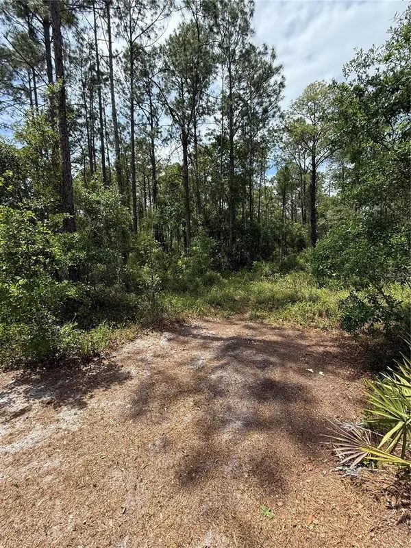 TBD NE 156TH LN, Fort Mc Coy, FL 32134