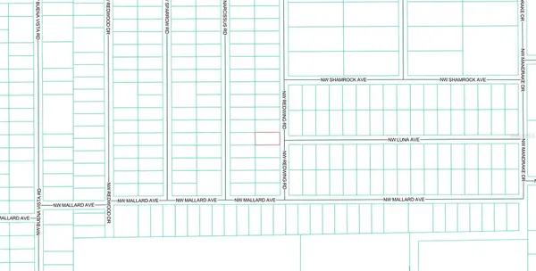 156 NW REDWING RD, Dunnellon, FL 34431