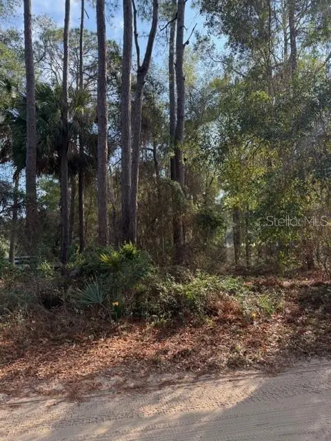 TBD NE 236 TER, Fort Mc Coy, FL 32134
