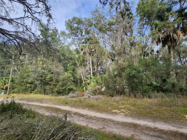 TBD NE 164TH PL, Citra, FL 32113
