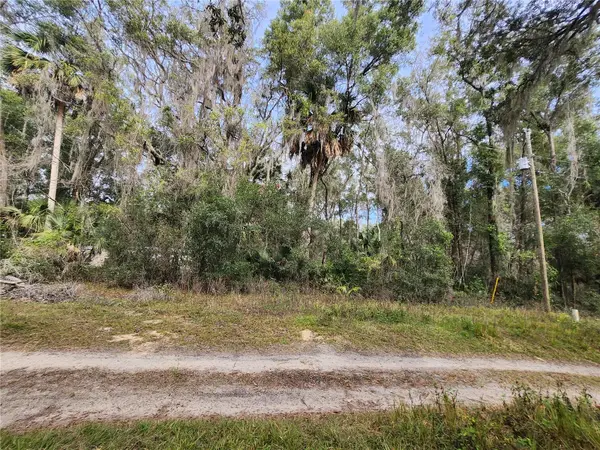 TBD NE 164TH PL, Citra, FL 32113