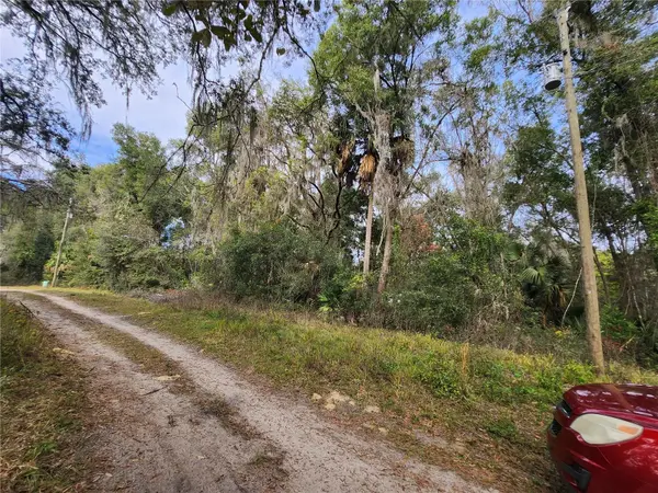 TBD NE 164TH PL, Citra, FL 32113