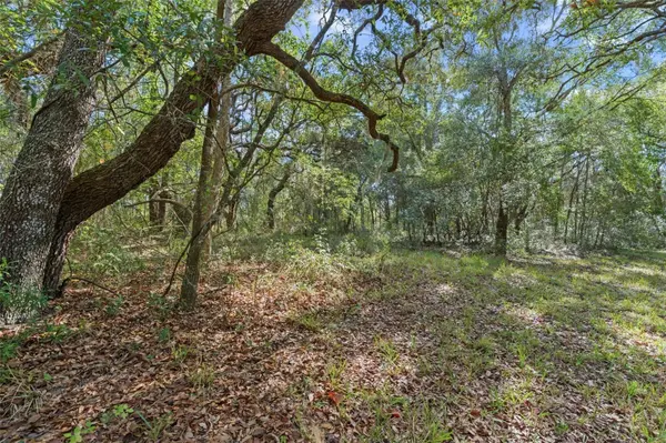 4290 W NORVELL BRYANT HWY, Crystal River, FL 34429