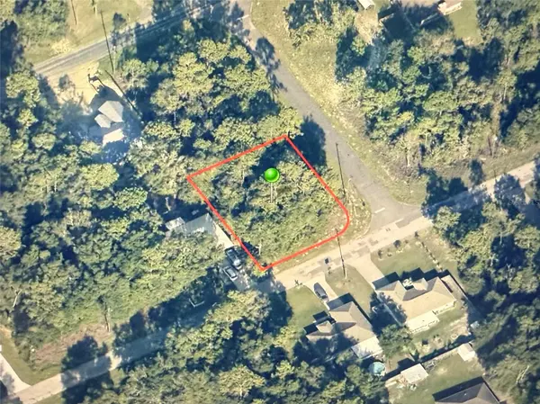 9540 N PINEVIEW WAY, Citrus Springs, FL 34434