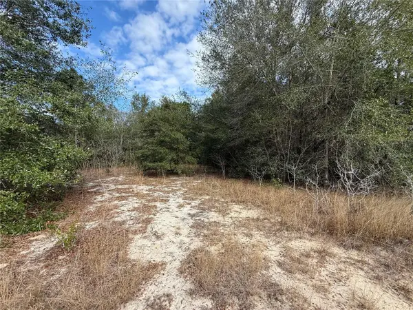 SE 92ND CT, Belleview, FL 34420