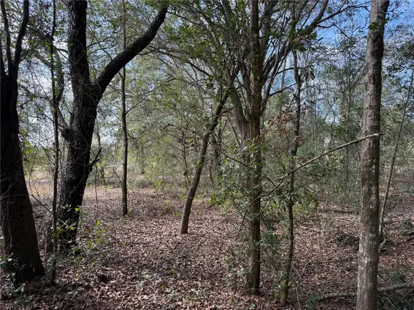 SE 92ND CT, Belleview, FL 34420
