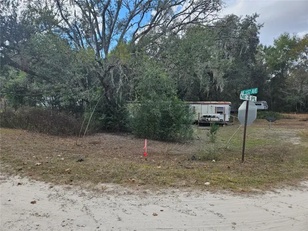 15950 NE 4TH PL, Williston, FL 32696