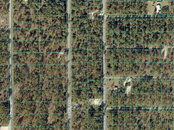 1110 NW REDWOOD DR, Dunnellon, FL 34431