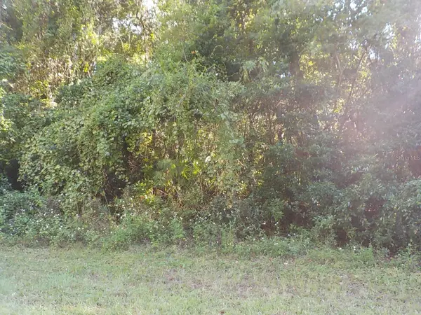11641 N KENLAKE CIR, Dunnellon, FL 34434