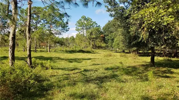 LITCHFIELD LOOP, Winter Haven, FL 33884
