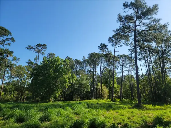 POLLARD ROAD, Winter Haven, FL 33884
