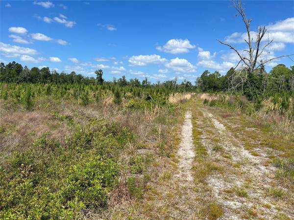 HWY 40, Dunnellon, FL 34430