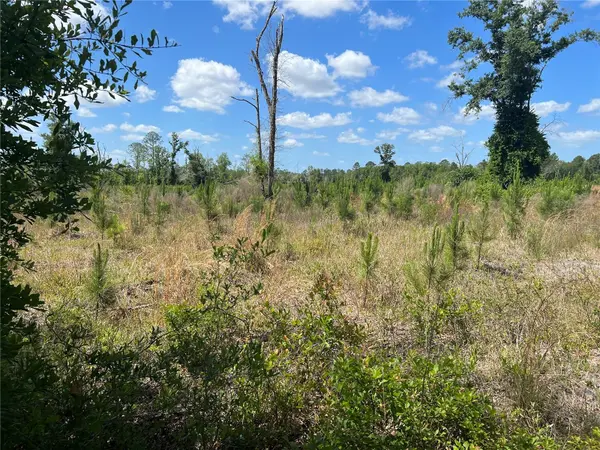 HWY 40, Dunnellon, FL 34430