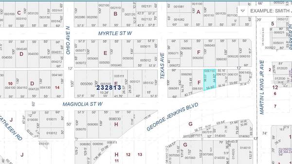 515 W MAGNOLIA ST, Lakeland, FL 33815