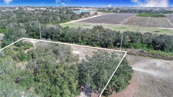 DANIEL ST, Dundee, FL 33838