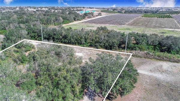 DANIEL ST, Dundee, FL 33838