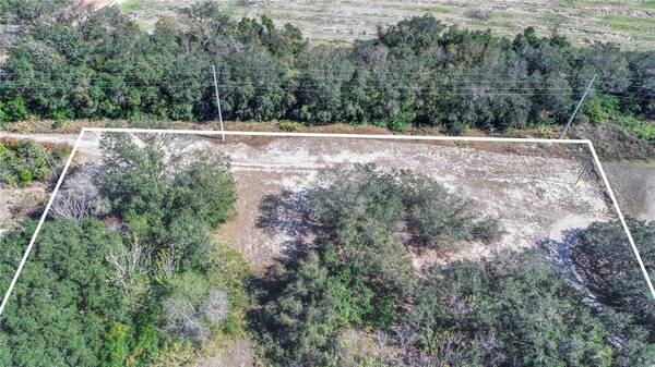 DANIEL ST, Dundee, FL 33838