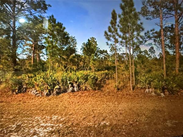 0 KEY WEST DR, Indian Lake Estates, FL 33855