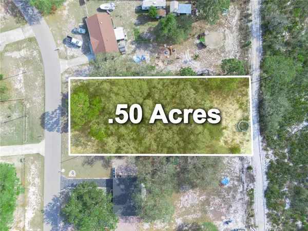 LEMON DR, Lake Wales, FL 33898