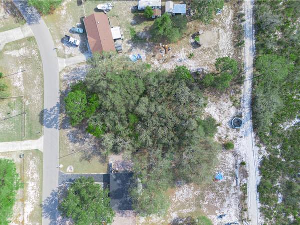LEMON DR, Lake Wales, FL 33898