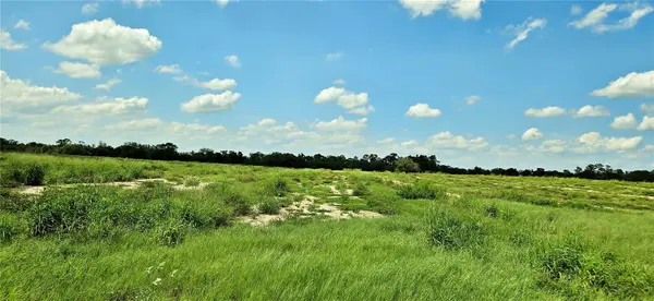 MAMMOTH GROVE ROAD, Lake Wales, FL 33898