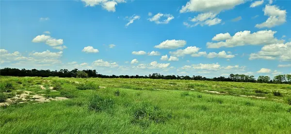MAMMOTH GROVE ROAD, Lake Wales, FL 33898