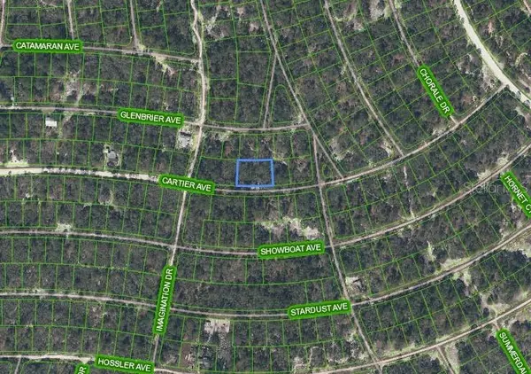 354 CARTIER AVE, Lake Placid, FL 33852