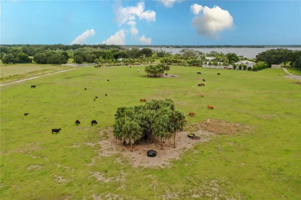 8010 LAKE LOWERY RD, Haines City, FL 33844