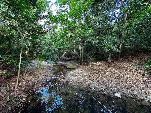 3055 BO. PILON, Vieques, PR 00765